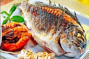 Kültür Balıkçılığı Yıldız Gibi Parlıyor