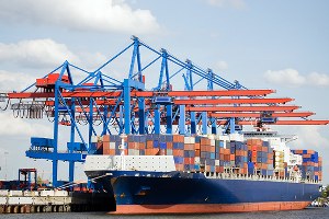 Küresel Gıda Ticaretinde Bir Yasaklama Bir Açılım