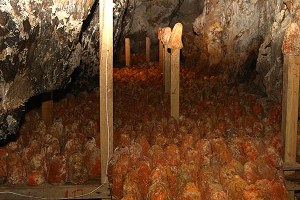 Türk Rokforu Lezzetini Mağaradan Alıyor