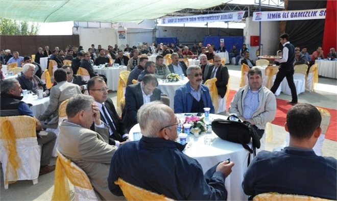 Damızlık Ve Sığır Yetiştiricileri Birliği Düve Satışına Devam Ediyor