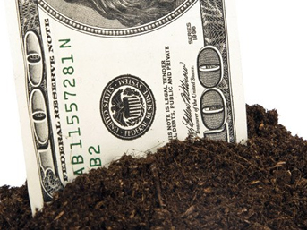 Dolardaki Yükseliş Tarımı Vurdu