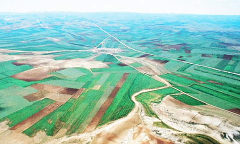 GAP Organik Tarım Vadisi Olacak