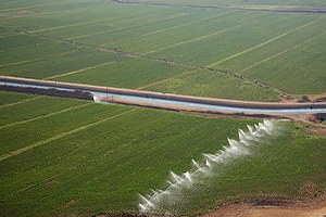 GAP ın Bütçesi Son 10 Yılda 5 Kat Arttı