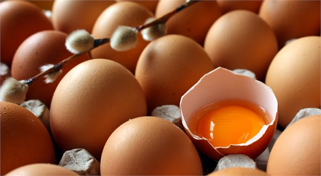 Yumurta Zirvesi Antalya da Üreticileri Buluşturacak