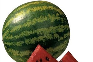 Karpuz Zamlandı Limon Düştü