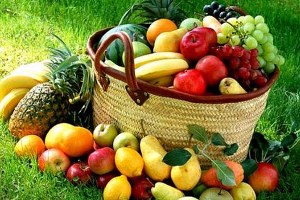 Ordu da Organik Tarım ve İyi Tarım Destekleme Ödemeleri Başladı