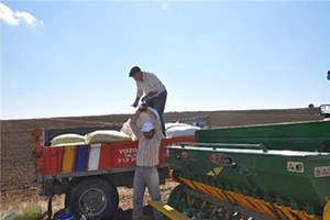 Sorgun da Hububat Ekimi Başladı