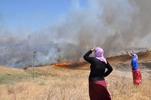 Anız Yakanlara Destekleme Primi Verilmeyecek