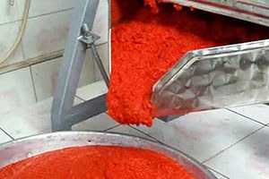 Belediye 37 Çiftçiye Salça Makinesi Hibe Etti