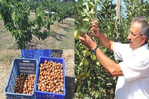 Türkiye ye 92 Çeşit Yeni Ürün Kazandırdılar