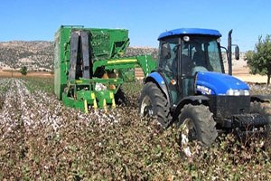 Araban Ovası nda Pamuk Toplama Fiyatı Belirlendi