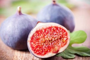 AB Yolundaki Aydın İnciri Yörex te