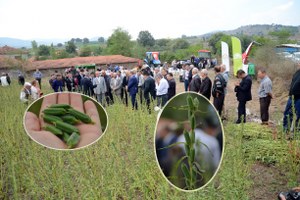 Ortaca da Susam Tarla Günü Düzenlendi