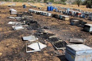 Tarsim Arıcıları Sigorta Konusunda Uyardı