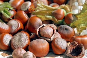 Piyasa Kontrolsüzlüğü ve Emanet Fındık Fiyatları Düşürdü