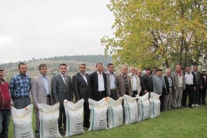 Hisarcık ta 34 Çiftçiye Ücretsiz Macar Fiği Dağıtıldı