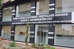 Mardin Tkdk 15 Çağrı İlanı Yayınlandı