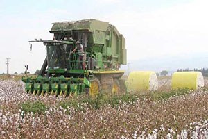 Menemen de Son Teknoloji Makineyle Pamuk Hasadı
