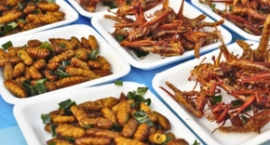 Hollanda Hükümeti Daha Fazla Böcek Yiyin Diyor