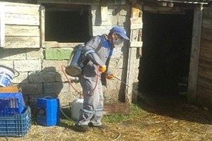 Büyükşehir Belediyesi Ekipleri Hayvan Barınaklarını İlaçladı