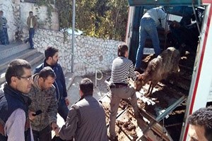 Ermenek te Madencilere Üç Bin Koyun ve Keçi Dağıtıldı