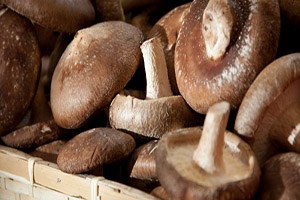 Mantar Alırken Ambalajlı Ürünleri Tercih Edin