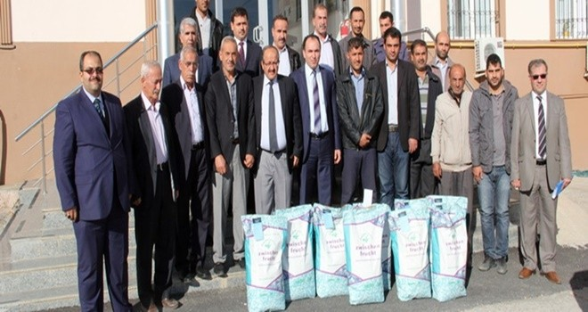 Arıcılar Artık İlkbaharda İlave Besleme Yapmayacak