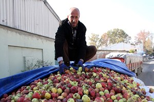 Fabrika Fazla Sipariş Yaptı 70 Kamyon Elma Bozulmak Üzere