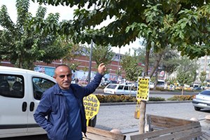 Ziraat Teknikerinden Ağaç Budama Uyarısı