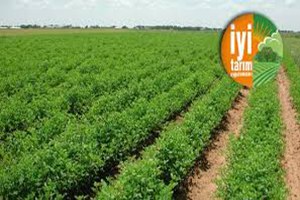 Çiftçilere İyi Tarım Uygulamaları Anlatıldı