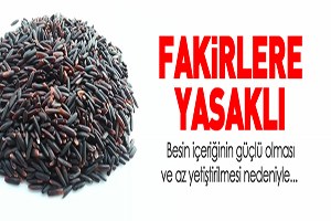 Fakirlere Yasaklı Pirinç