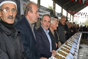 Fındık Üreticisi Kiviyi Sevdi