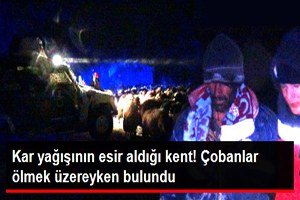 Çobanlar Tipiye Yakalandı