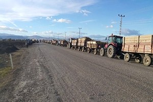 Pancar Yüklü Traktörler Tehlike Saçıyor