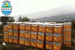 DOKAP Arıcılığın Geliştirilmesi Programı Çerçevesinde Hibe Veriyor