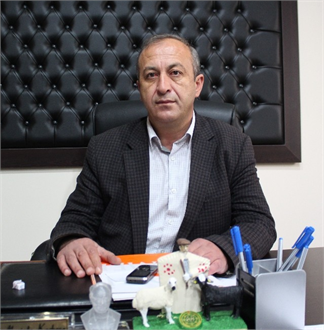 Teşvikler Arttıkça Koyun Yetiştiriciliği Artacak