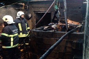 Ahır Yangınında Küçükbaş Hayvanlar Telef Oldu