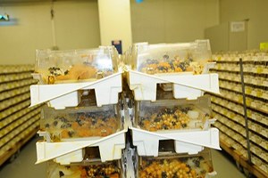 Biyolojik Mücadele Uygulamaları Masaya Yatırıldı