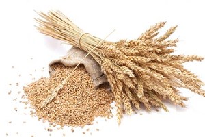 Randevulu Alım Sistemi Çok Başarılı Oldu