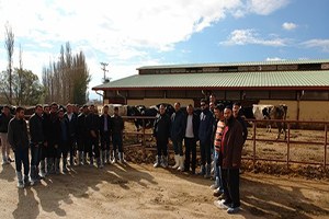 Süt Sığırı Yetiştiriciliği Eğitimi Yapıldı