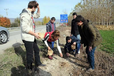 3 Çuval Meyve Çekirdeğini Toprakla Buluşturdular