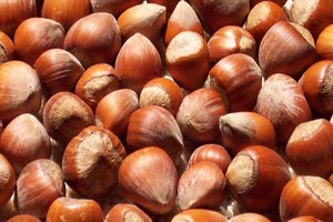 Fındık Üreticisine Vade Uyarısı