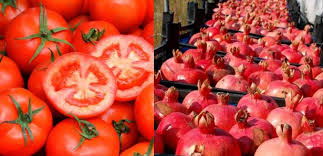 Rusya 4 Ton Nar ve 20 Ton Domatesi Türkiye ye Geri Gönderdi