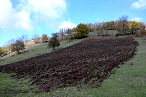 Keklikler İçin Özel Besin Tarlası