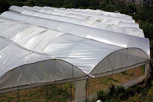 Orköy Kredisiyle Kurulan Seraların Sertifika Töreni