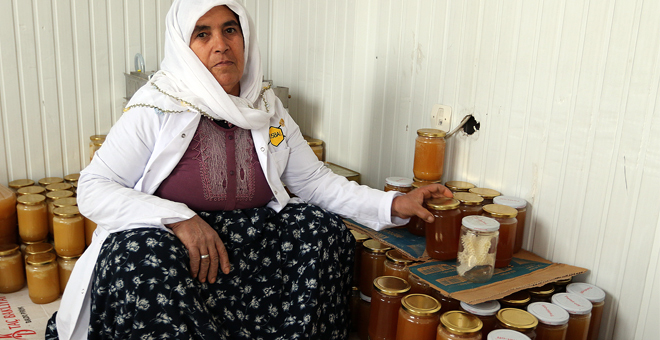 Uçkun Reçeli İlk Defa Üretildi