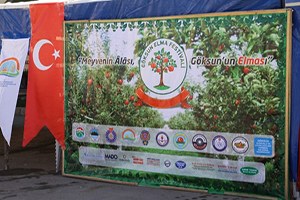 Meyvenin l sı Göksun un Elması