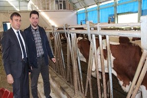 Trabzon Kendi Tereyağını Üretmek İçin Artık Dışarıdan Süt Almayacak