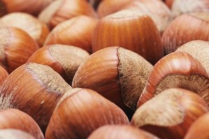 Türkiye de Fındık İhracatı