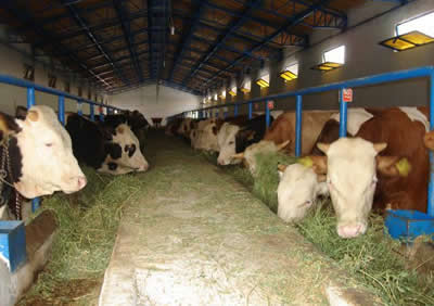 Yem Hijyeninde Yeni Kurallar